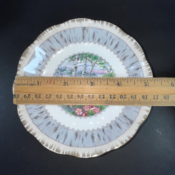 Royal Albert Silver Birch Tea Cup & Saucer Bone China Made in England - Picture 9 of 10